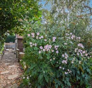 2 Bedroom House for sale in The Headlands, Salisbury