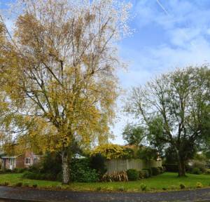 5 Bedroom House for sale in Shakespeare Road, Salisbury