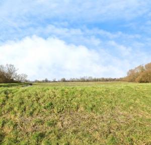 3 Bedroom Bungalow for sale in Upper Street, Salisbury