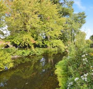 2 Bedroom  for sale in Archers Court, Salisbury