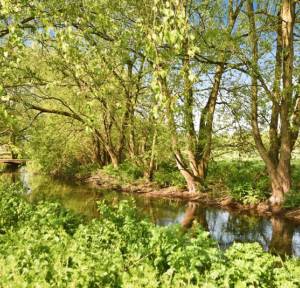 4 Bedroom House for sale in Church Road, Salisbury