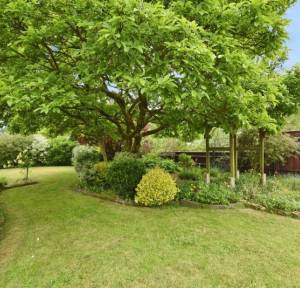 3 Bedroom Bungalow for sale in The Borough, Salisbury