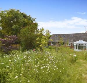 3 Bedroom Bungalow for sale in Mount Pleasant, Salisbury