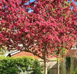 3 Bedroom House for sale in Crow Lane, Salisbury