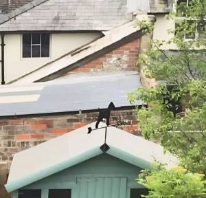 3 Bedroom House for sale in Crow Lane, Salisbury