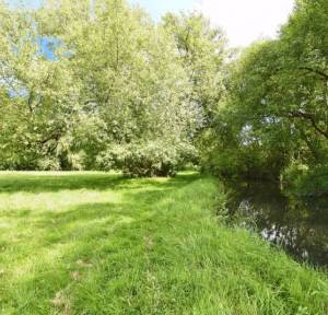 3 Bedroom House for sale in Saddlers Mead, Salisbury