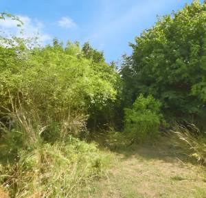 2 Bedroom House for sale in Shaftesbury Road, Salisbury