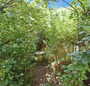 2 Bedroom House for sale in Shaftesbury Road, Salisbury