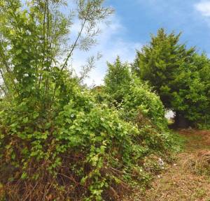 2 Bedroom Bungalow for sale in Greenwood Avenue, Salisbury