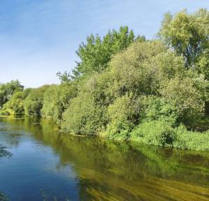 4 Bedroom House for sale in 103 The Borough, Salisbury
