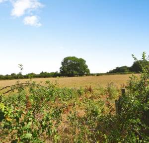 3 Bedroom House for sale in Hamilton Park, Salisbury