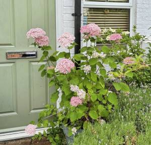 2 Bedroom House for sale in Church Lane, Salisbury
