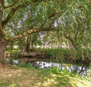 5 Bedroom Bungalow for sale in Homington Road, Salisbury