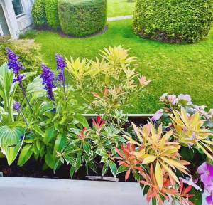 2 Bedroom Flat for sale in Shady Bower Close, Salisbury
